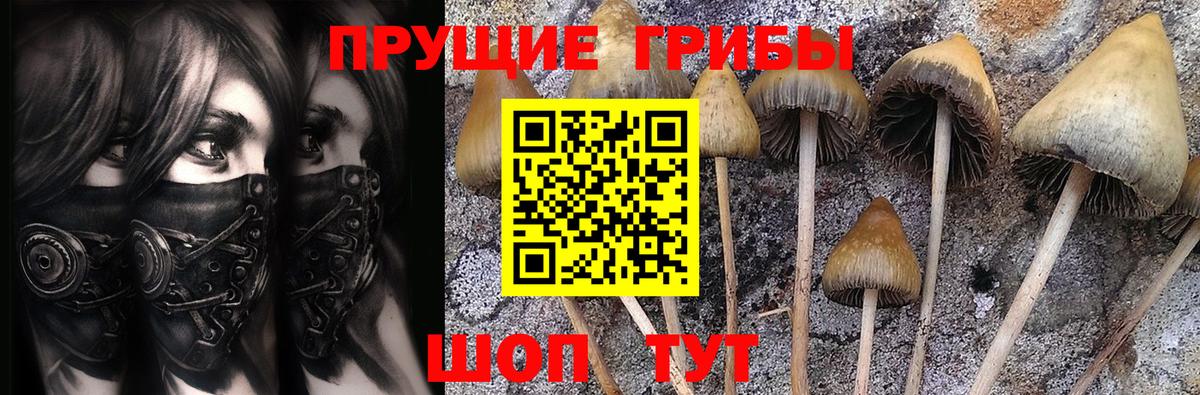наркошоп  Галлюциногенные грибы Psilocybine cubensis  Вход с VPN  Добрянка 